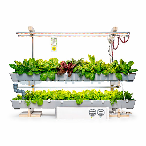 Комплект лабораторного оборудования  «Растения и их среда обитания»